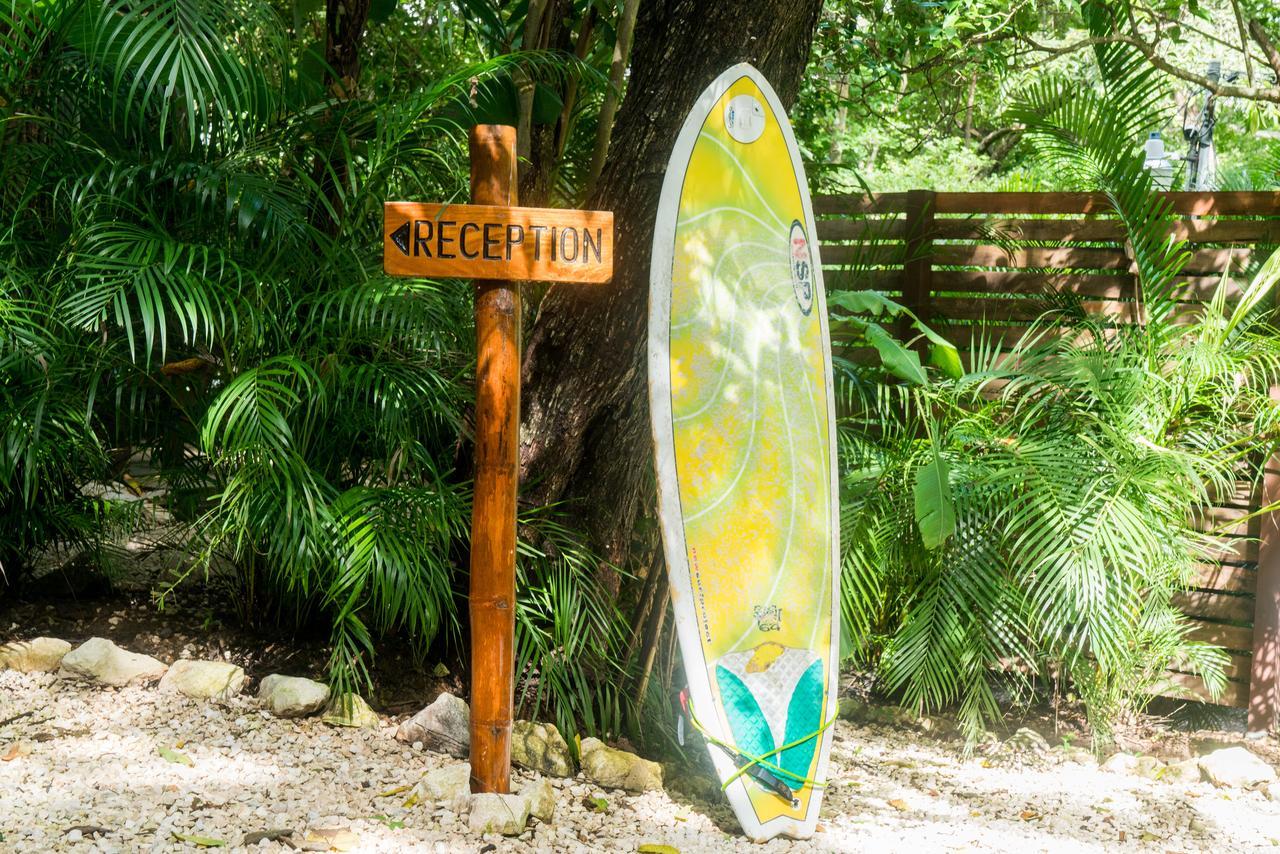 Green Sanctuary Hotel Nosara Bagian luar foto