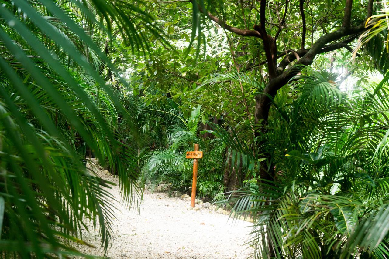 Green Sanctuary Hotel Nosara Bagian luar foto