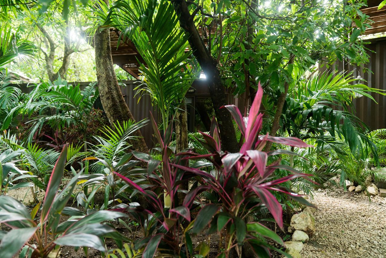 Green Sanctuary Hotel Nosara Bagian luar foto