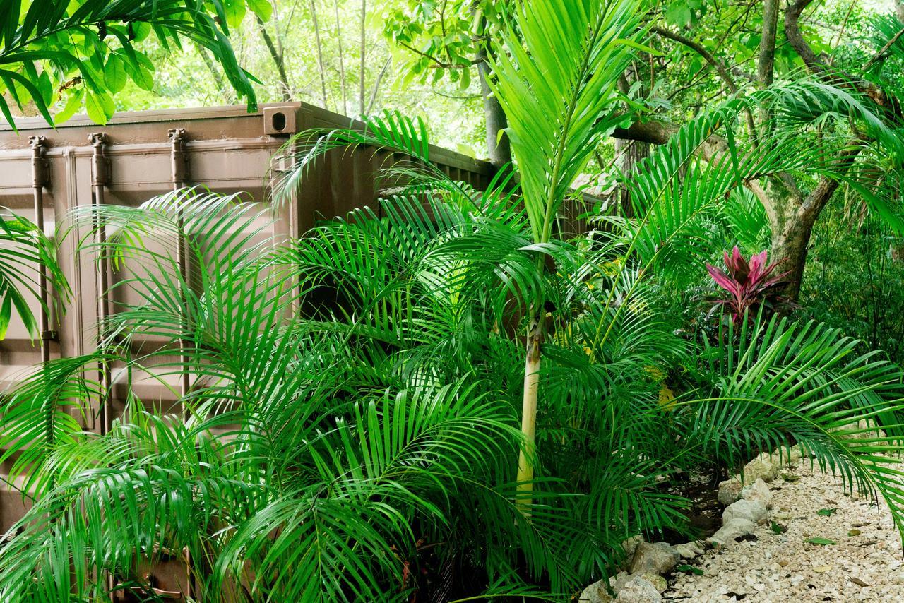Green Sanctuary Hotel Nosara Bagian luar foto