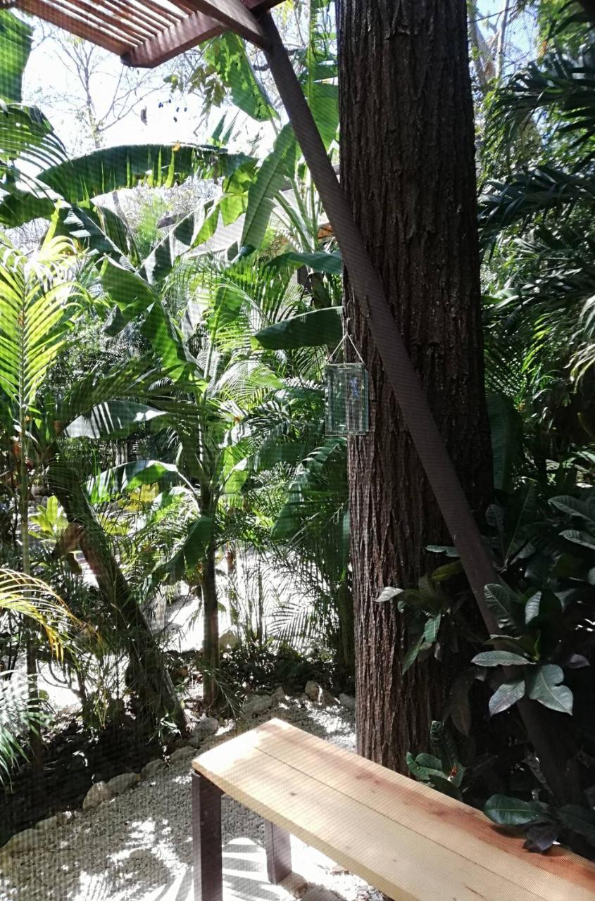 Green Sanctuary Hotel Nosara Bagian luar foto